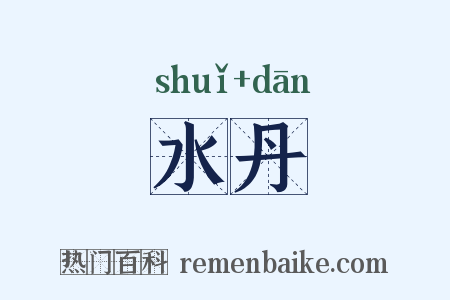 水丹是什么意思的图片